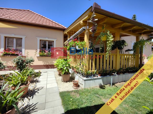 Nagykőrös - Szolnoki út:  140 m²-es családi ház   (84'900'000 ,- Ft)