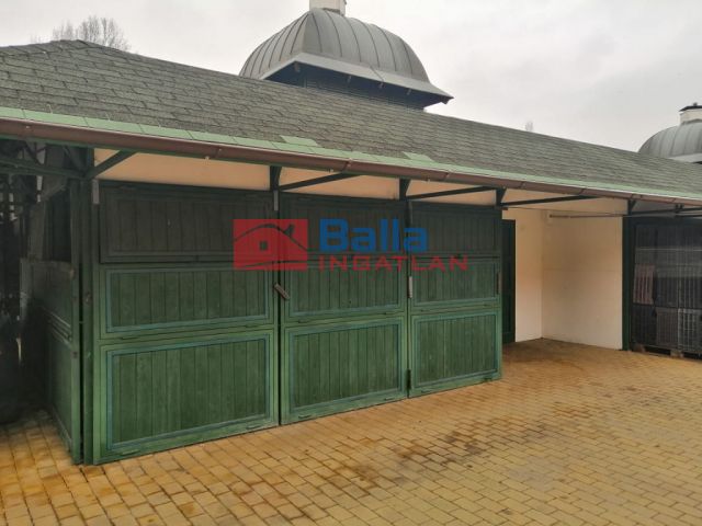 Vác - Központi Piac utca:  28 m²-es egyéb üzlethelyiség   (70'000 ,- Ft)