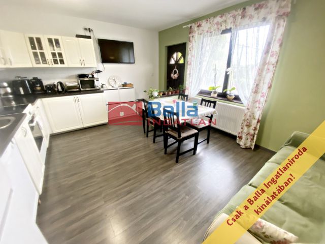 XVI. Kerület (Cinkota) - Szakoly utca:  120 m²-es ikerház   (142'000'000 ,- Ft)