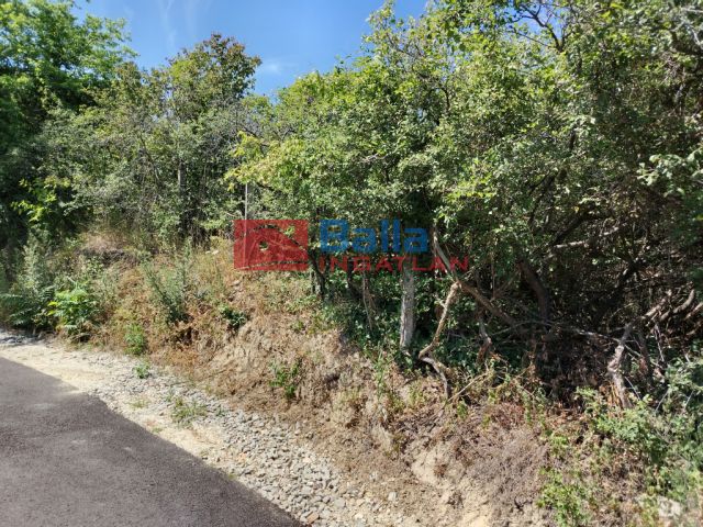 III. Kerület (Békásmegyer- Ófalu) - Mély utca:  0 m²-es mezőgazdasági ingatlan   (16'000'000 ,- Ft)