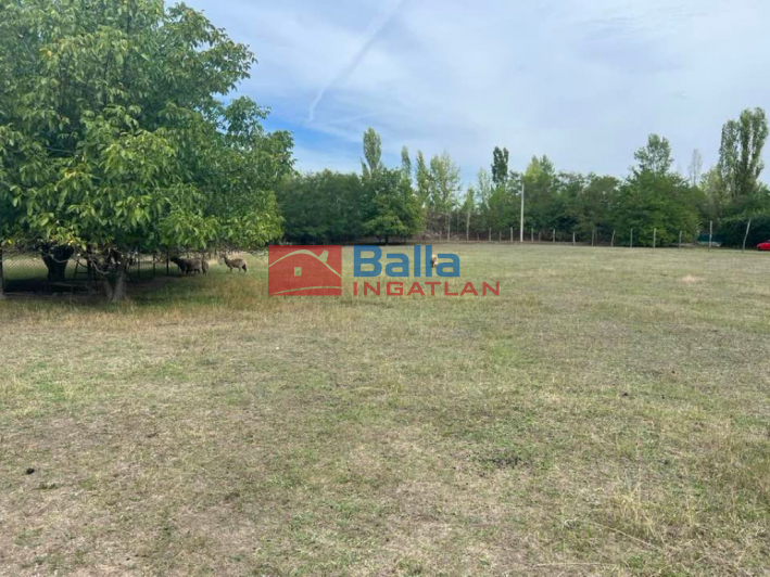 XVII. Kerület (Rákoscsaba Újtelep) - Kerektói utca:  0 m&sup2;-es mezőgazdasági ingatlan   (48'700'000 ,- Ft)