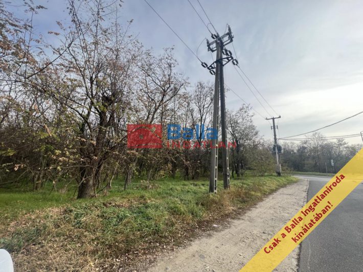 XVII. Kerület (Rákoshegy) - Baross utca:  0 m&sup2;-es mezőgazdasági ingatlan   (1'550'000 ,- Ft)