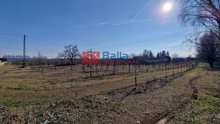 Dabas - Városközpont közeli utca:  0 m²-es mezőgazdasági ingatlan   (185'000'000 ,- Ft)