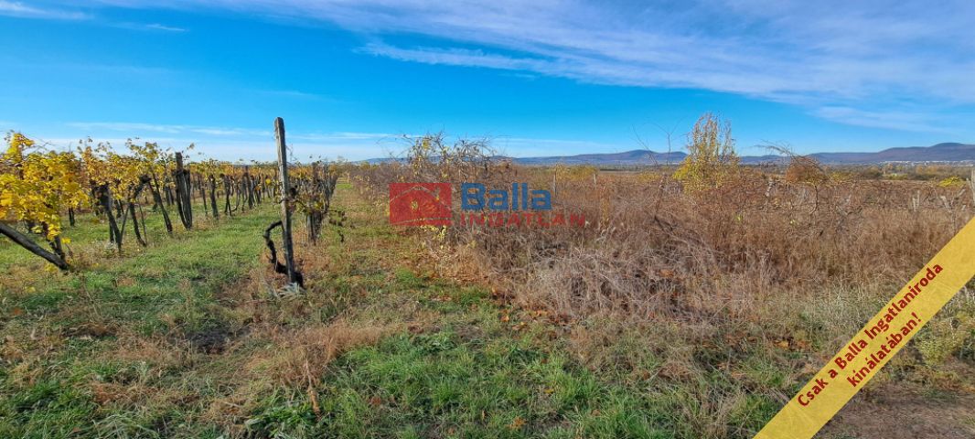 Dunakeszi - Külterület:  0 m²-es mezőgazdasági ingatlan   (4'900'000 ,- Ft)