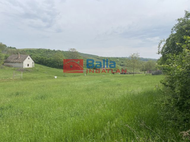 Kötcse - Külterület:  0 m²-es mezőgazdasági ingatlan   (4'900'000 ,- Ft)