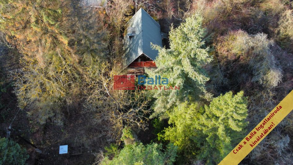 Nagymaros - Címképzés alatt utca:  0 m&sup2;-es mezőgazdasági ingatlan   (19'900'000 ,- Ft)