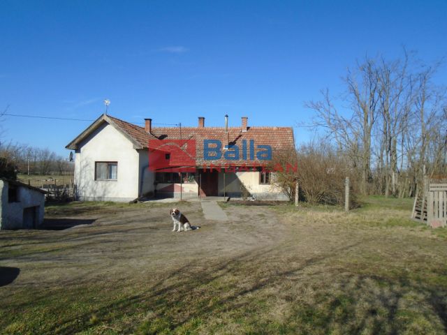 Tiszakécske - Fő úthoz közeli utca:  0 m²-es mezőgazdasági ingatlan   (11'900'000 ,- Ft)