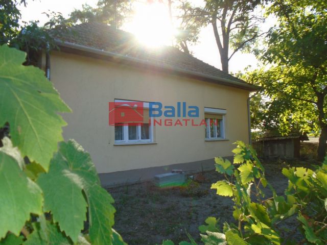 Tiszakécske - Székhalom dűlő:  0 m²-es mezőgazdasági ingatlan   (33'900'000 ,- Ft)