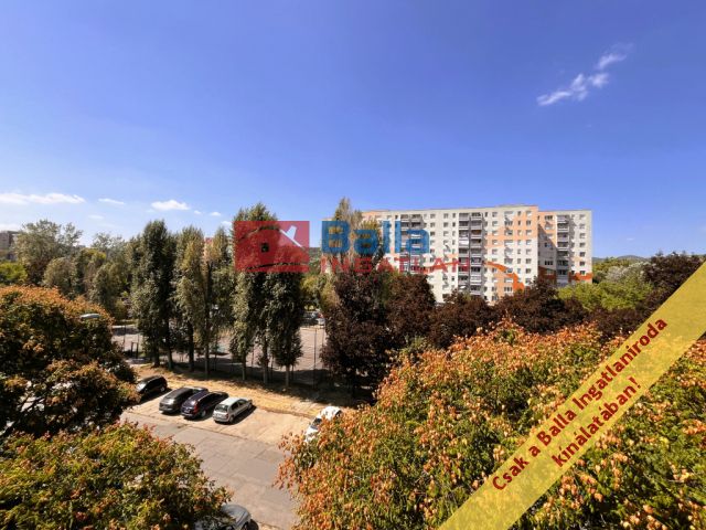 III. Kerület (Békásmegyeri ltp Hegy felől) - Békásmegyeri ltp hegy felől:  36 m²-es társasházi lakás   (51'990'000 ,- Ft)