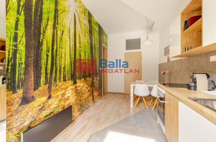 VII. Kerület (Középső-Erzsébetváros) - Gozsdu udvar közvetlen közelében:  46 m²-es társasházi lakás   (71'500'000 ,- Ft)