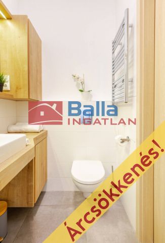 VII. Kerület (Középső-Erzsébetváros) - Gozsdu udvar közvetlen közelében:  46 m²-es társasházi lakás   (71'500'000 ,- Ft)