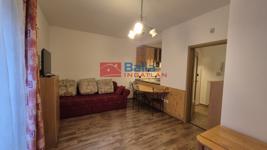 XI. Kerület (Kelenföld) - Nádorliget lakőpark:  30 m&sup2;-es társasházi lakás   (185'000 ,- Ft)