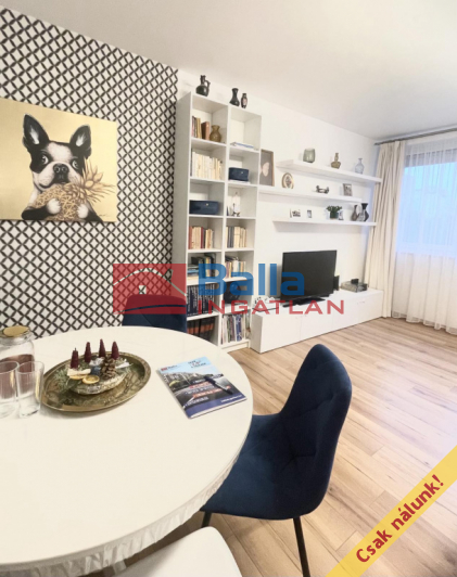 XIV. Kerület (Füredi lakótelep) - Felújított másfélszobás lakás a Füredin!:  46 m&sup2;-es társasházi lakás   (62'900'000 ,- Ft)