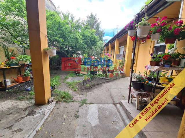XV. Kerület (Pestújhely) - Molnár Viktor utca:  30 m²-es társasházi lakás   (30'450'000 ,- Ft)