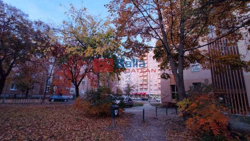 Dunaújváros - Táncsics Mihály utca:  44 m²-es társasházi lakás   (29'900'000 ,- Ft)