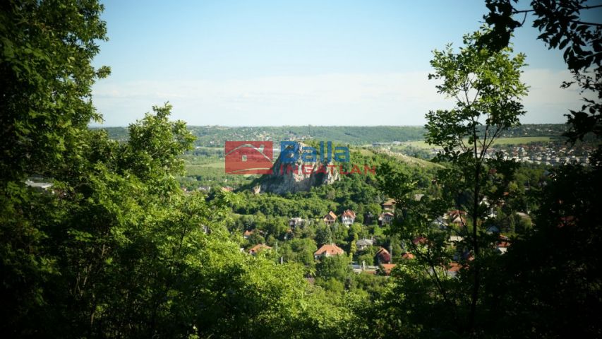 Budaörs - Csiki utca:  2624 m²-es telek   (179'900'000 ,- Ft)