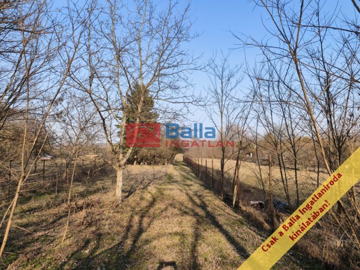 XVI. Kerület (Cinkota) - Cinkota:  828 m&sup2;-es telek   (11'900'000 ,- Ft)