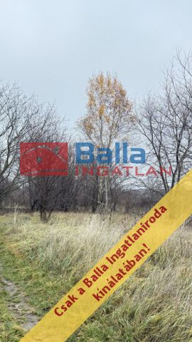 XVII. Kerület (Rákoscsaba Újtelep) - Kopolya utca:  1010 m²-es telek   (11'900'000 ,- Ft)