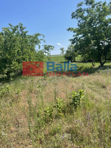 Monor - Természet központú dűlő:  1579 m²-es telek