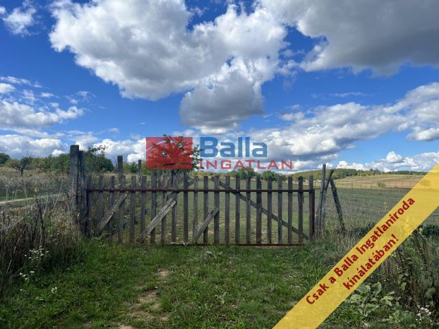 Őrbottyán - Őrbottyán lankás legelőin utca:  11331 m²-es telek   (18'000'000 ,- Ft)