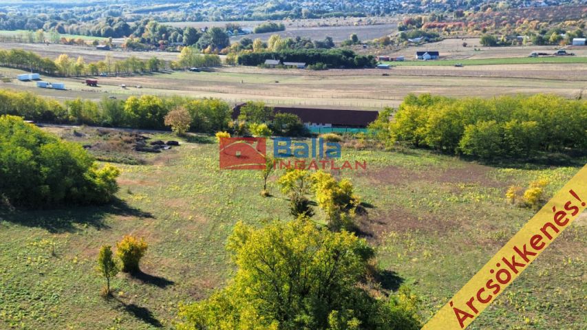 Őrbottyán - nincs utca:  11091 m²-es telek   (24'500'000 ,- Ft)