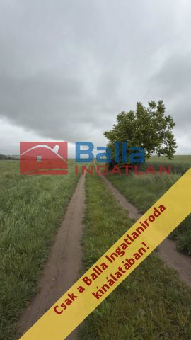 Pécel - Városközpont közeli utca:  6088 m²-es telek