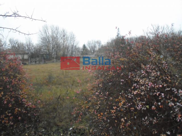 Tiszakécske - Hattyú utca:  363 m²-es telek   (3'900'000 ,- Ft)