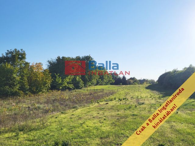 Tóalmás - Páskom dűlő:  5070 m²-es telek   (8'500'000 ,- Ft)