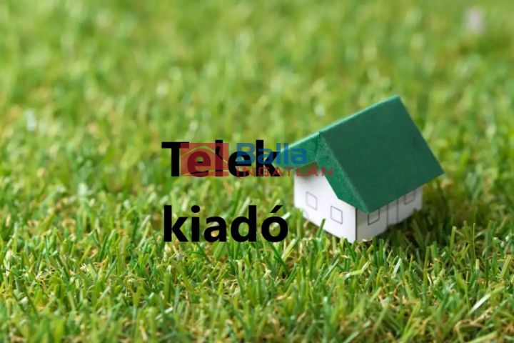 Vecsés - Lőrinci utca:  4000 m²-es telek   (4'000 ,- Ft)