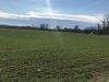 Eladó 2000 m²-esmezőgazdasági ingatlan XVII. Kerület (Rákoscsaba Újtelep) , Tarcsai utca: 5'500'000 Ft
