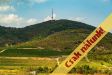 Tokaj - Tokaj:  0 m²-es mezőgazdasági ingatlan   (62'000'000 ,- Ft)