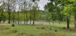 Szápár - Szápár szabadidő park, horgásztó:  125290 m²-es telek   (58'000'000 ,- Ft)