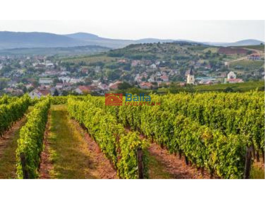 Mád, . utca, 97 m²-es, családi ház, 2+1 szobás, részben felújított állapotú