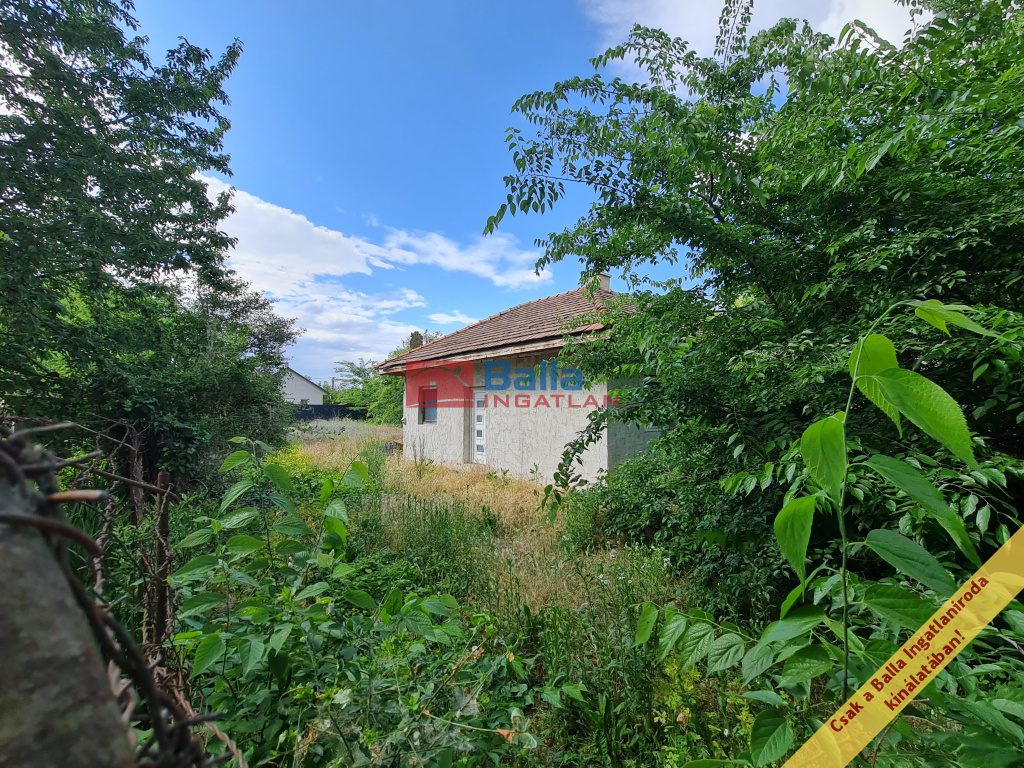 Monorierdő, Vércse utca, 47 m²-es, családi ház, 3 szobás, új építésű állapotú