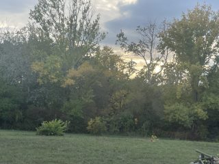 Eladó 817 m²-estelek Agárd, Agárd utca: 35'900'000 Ft