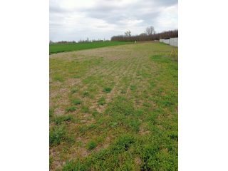 Eladó 991 m²-estelek Áporka, Béke utca közeli utca: 24'000'000 Ft