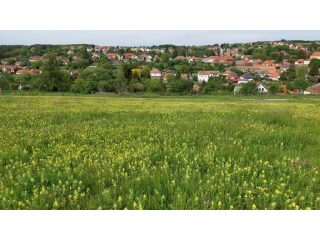 Eladó 1949 m²-estelek Berkenye, Bérc utca: 26'400'000 Ft