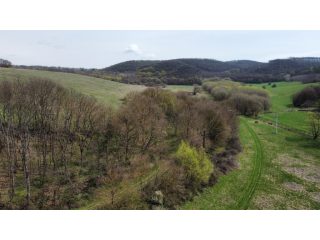 Eladó 22721 m²-esmezőgazdasági ingatlan Berkenye, Külterület utca: 17'949'000 Ft