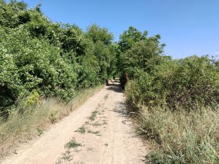 Eladó 3002 m²-esmezőgazdasági ingatlan Budakalász (Budakalász) , Klisovác utca: 6'000'000 Ft