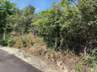 Eladó 2239 m²-esmezőgazdasági ingatlan III. Kerület (Békásmegyer- Ófalu) , Mély utca: 16'000'000 Ft