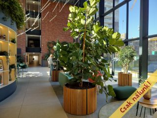 Eladó 38 m²-estársasházi lakás IX. Kerület (Középső Ferencváros (Rehabilitációs terület)) , Vágóhíd utca: 86'000'000 Ft