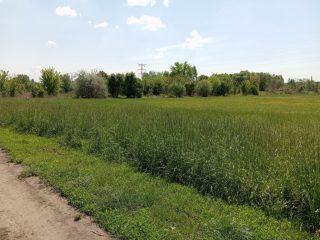 Eladó 3917 m²-estelek X. Kerület (Felsőrákos) , Pilisi utca: 59'900'000 Ft