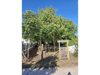 Eladó 1050 m²-estelek XVI. Kerület (Cinkota) , Ilonatelep: 19'000'000 Ft