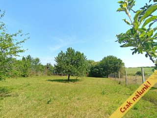 Eladó 975 m²-estelek XVII. Kerület (Rákoscsaba) , Mezőőr utca: 25'000'000 Ft