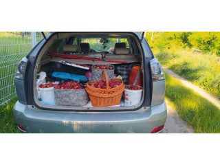 Kiadó 1000 m²-estelek XVII. Kerület (Rákoshegy) , Rákoshegy csendes mellékutcában található utca: 140'000 Ft