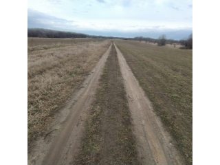 Kiadó 1000 m²-esmezőgazdasági ingatlan XVII. Kerület (Rákoshegy) , Reptér közeli völgy: 110'000 Ft