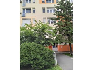 Eladó 43 m²-estársasházi lakás XVIII. Kerület (Lakatostelep) , Lakatostelep: 54'900'000 Ft