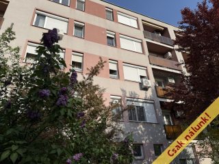 Eladó 55 m²-estársasházi lakás XXI. Kerület (Belváros (Városközpont)) , Templom utca: 59'900'000 Ft