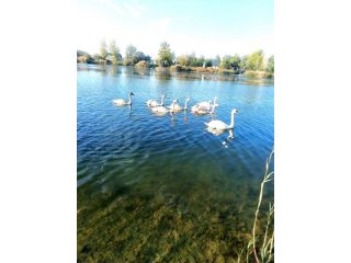 Eladó 145 m²-esüdülő Délegyháza (Délegyháza) , Bányász sor: 164'900'000 Ft