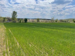 Eladó 28770 m²-esmezőgazdasági ingatlan Fót, Fót- Kisalag: 24'900'000 Ft